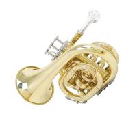 Ensemble Di Trombe Standard Set Di Tromba Tascabile In Sib In Ottone Per Principianti Mini Dorata