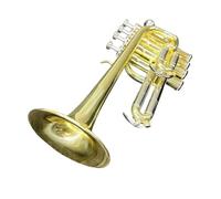 Ensemble Di Trombe Standard Strumento Cornetta In Ottone BB Dorato Con Custodia