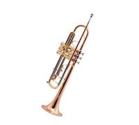 Ensemble Di Trombe Standard Strumento Di Prova In Ottone Per Tromba In Bronzo Fosforoso Di Qualità Professionale