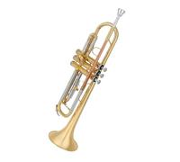 Ensemble Di Trombe Standard Strumento Tromba In Si Bemolle Livello Di Esecuzione Professionale Per Principianti
