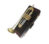 Ensemble Di Trombe Standard Strumento Tromba In Si Bemolle Placcato In Oro Per Impieghi Gravosi Per Suonare