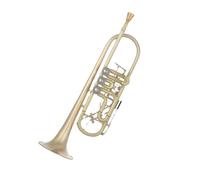 Ensemble Di Trombe Standard Strumento Tromba In Sib Con Finitura Spazzolata In Rame Dorato Facile Da Suonare E Che Fa Risparmiare Fatica Ai Principianti.