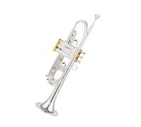Ensemble Di Trombe Standard Strumento Tromba In Sib Modello TR 600 Placcato Argento Doppio