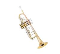 Ensemble Di Trombe Standard Test Di Tromba Per Principianti Con Chiave In Si Strumento Con Valvola A Doppio Scarico