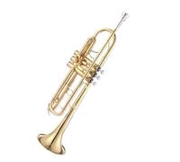 Ensemble Di Trombe Standard Tromba D'oro In Sib Strumento In Ottone Esame Di Esecuzione Per Principianti Speciale