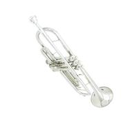 Ensemble Di Trombe Standard Tromba In Argento Con Chiave B Strumento Professionale In Ottone Adatto Ad Adulti E Principianti Per Suonare E Sostenere Esami