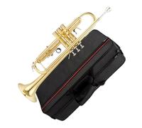 Ensemble Di Trombe Standard Tromba In Si Bemolle A Tre Note Uno Strumento In Ottone Professionale Per Principianti E Adulti