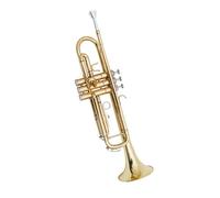 Ensemble Di Trombe Standard Tromba In Si Bemolle A Tre Note Uno Strumento Professionale Per Principianti E Candidati Ai Test