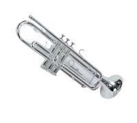 Ensemble Di Trombe Standard Tromba In Si Bemolle Livello Principiante Test Di Prestazione Strumento Speciale In Ottone