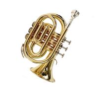 Ensemble Di Trombe Standard Tromba In Si Bemolle Mini Strumento In Ottone Palmare
