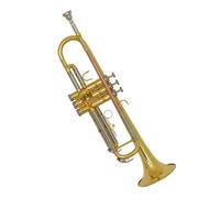 Ensemble Di Trombe Standard Tromba In Si Bemolle Per Principianti Adulti Che Vogliono Suonare Gli Ottoni
