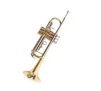 Ensemble Di Trombe Standard Tromba In Si Bemolle Strumento D'oro Esame Per Principianti Performance Professionale