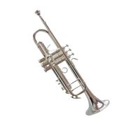 Ensemble Di Trombe Standard Tromba In Si Bemolle Strumento Musicale Placcato Argento Intagliato Per Principianti Facile Da Suonare