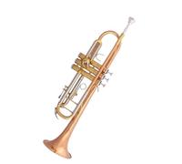 Ensemble Di Trombe Standard Tromba In Si Bemolle Strumento Per Principianti Livello Base Adulto Performance Professionale