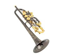 Ensemble Di Trombe Standard Tromba In Sib Con Valvola Rotante In Ottone Strumento Professionale