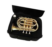 Ensemble Di Trombe Standard Tromba Palmare In Si Bemolle Strumento In Ottone Insegnamento Per Principianti Esibizione Professionale