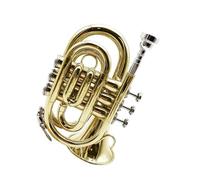 Ensemble Di Trombe Standard Tromba Professionale In Si Mini A Tre Toni Strumento Per Principianti