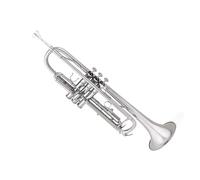 Ensemble Di Trombe Standard Tromba Strumento Si Bemolle Principiante Banda Livello Di Esecuzione Professionale