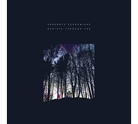 Ensemble Economique - Radiate Through You