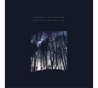Ensemble Economique Radiate Through You (Vinyl LP) 12" Album