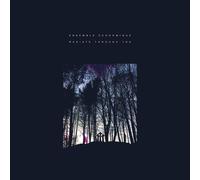 Ensemble Economique Radiate Through You (Vinyl LP)