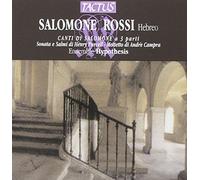 Ensemble Hypothesis - Canti Di Salomone