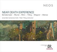Birke J. Bertel Near Death Experience: Bertelsmeier/Murail/Rihm/Tilling/Wag (CD)