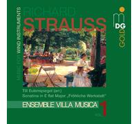Ensemble Villa Strauss: Till Eulenspiegel (arr.), Sonatina in E flat major (CD)