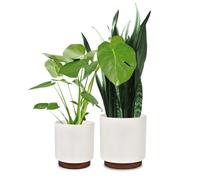 Fox & Fern Set di 2 vasi per piante grandi, per interni ed esterni, resistenti ai raggi UV e al gelo, per interni, in polystone, grande vaso per piante da appartamento e fiori con tappo di drenaggio