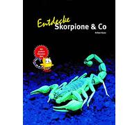 Entdecke die Skorpione: 48