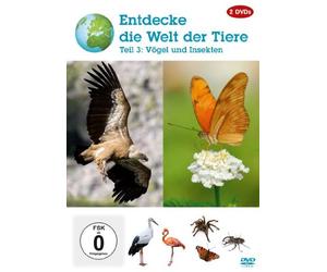 Entdecke die Welt der Tiere - Teil 3: Vögel und Insekten