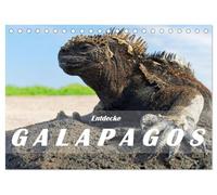 Entdecke Galapagos (Tischkalender 2026 DIN A5 quer), CALVENDO Monatskalender: Die Einzigartigkeit von Galapagos besteht in der Natur: Wilde ... Vulkane und dazu eine eindrückliche Tierwelt.
