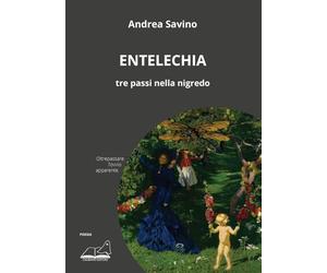 Entelechia. Tre passi nella nigredo