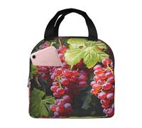 Entemne Borsa termica per il pranzo con uva viola per uomini donne bambini borsa termica per il pranzo piccola borsa termica a prova di perdite per il lavoro picnic scuola