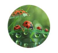 Entemne Tappetino per mouse rotondo piccolo con coccinelle selvatiche e ombrello, base in gomma antiscivolo, 20 cm, tappetino per mouse portatile, lavabile, tappetino da scrivania per ufficio, laptop