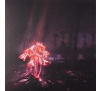 Enter Shikari - A Kiss for the Whole World