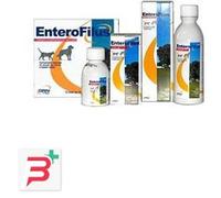 ENTEROFILUS 12 X 10 ML