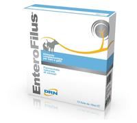 Enterofilus® Fiale 12x10 ml Fiale