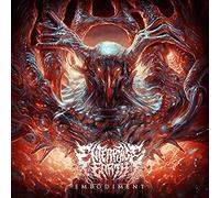 Enterprise Earth - Embodiment