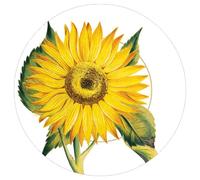 Entertaining with Caspari - Set di 2 candele Sunflowers per cena, 16 piatti total