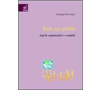 Enti no profit. Aspetti organizzativi e contabili