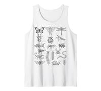 Entomologia Insetti Specie Grafico Scientifico Bug Tassonomia Canotta