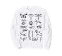 Entomologia Insetti Specie Grafico Scientifico Bug Tassonomia Felpa