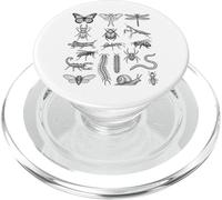 Entomologia Insetti Specie Grafico Scientifico Bug Tassonomia PopSockets PopGrip per MagSafe