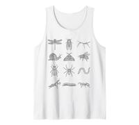 Entomologia Specie di Insetti Forme Naturali Studio Dettagliato Canotta