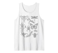 Entomologia Specie di Insetti Storia Naturale scientifica Minima Canotta