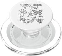 Entomologia Specie di insetti Storia naturale scientifica minima PopSockets PopGrip per MagSafe