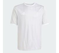 Entrada26 Graphic Jersey Kids Team Light Grey / White 5-6A