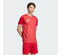 Entrada26 Graphic Jersey Team Power Red 2 / White XL