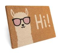 Entrando Tappetino in cocco 40 x 60 cm - 20 motivi eleganti - per esterni, robusto, antiscivolo - ideale per porta di casa coperta (Lama Hi)